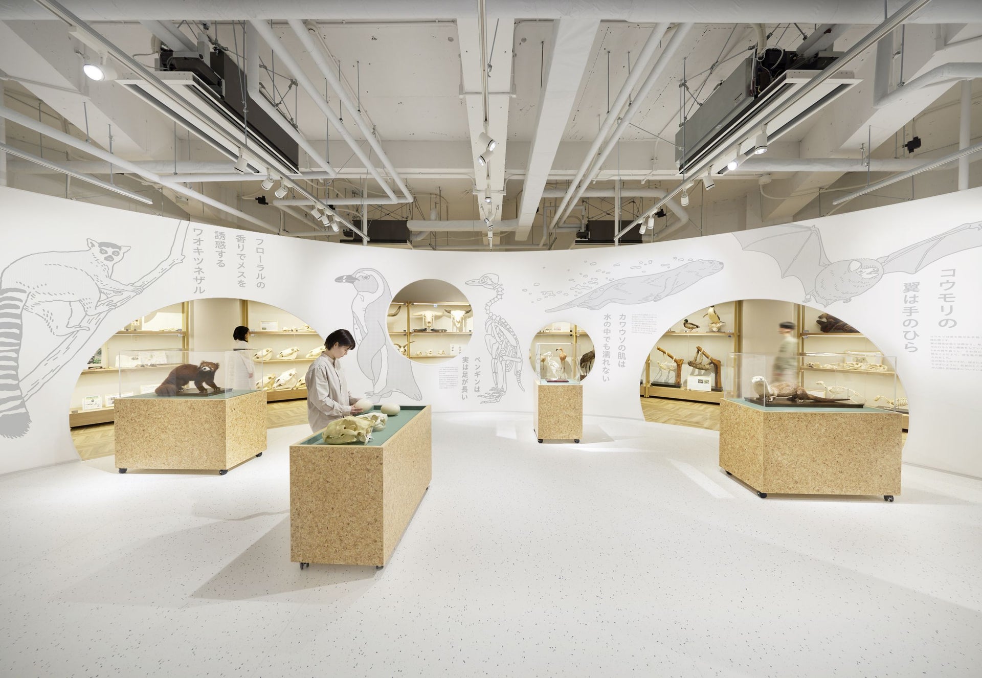 千葉市動物公園　動物科学館　－生命の森 熱帯雨林  Wonder of Rainforestー5